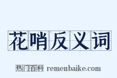 花哨反义词是什么意思的图片